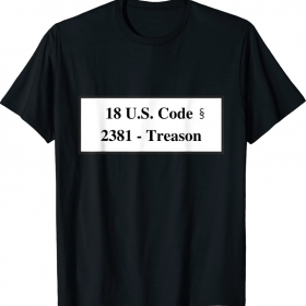 Treason United States Code Anti Trump Unisex T-Shirt
