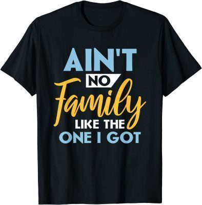 Family Matching Reunion Aint No Family Like The One I Got Gift T-Shirt