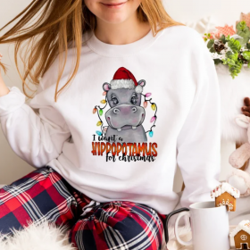 I Want A Hippopotamus For Christmas Shirt, Funny Christmas Gift Sweatshirt, Hippopotamus Shirt, Christmas kid Shirt, Happy Christmas Tee