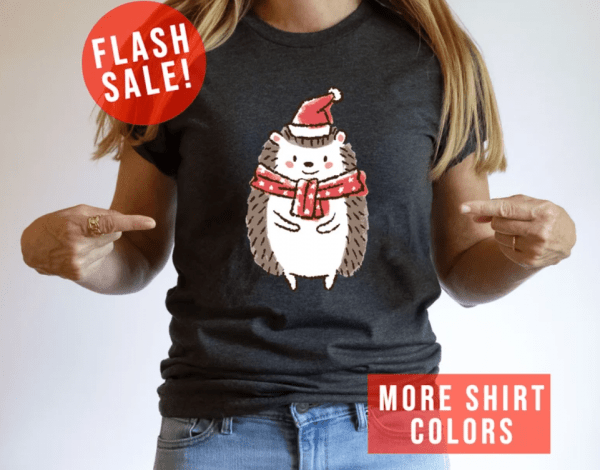 Hedgehog Santa Hat Cute Christmas Shirt, Noel Hat Christmas Party Clothing, Christmas Vibes Apparel, Christmas Holiday Tee, Trendy Xmas Gift