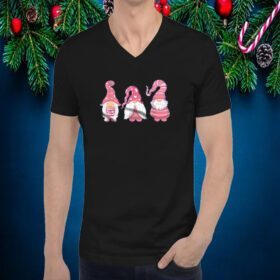 Gnome Shirt, Buffalo Plaid, Christmas With My Gnomies, Christmas 2024 Shirt