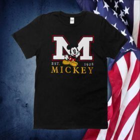 Hollister Disney Shirts