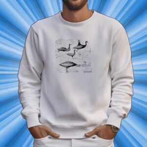 Carolinepolachek Goose Information T-Shirt