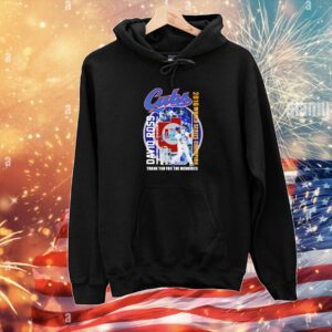 Cubs David Ross Chicago Cubs World Series Champion Thank You For The Memories Signature Hoodie T-Shirt