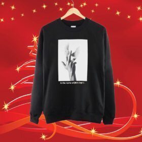 In The Name Of Palm Angels Wings SweatShirt