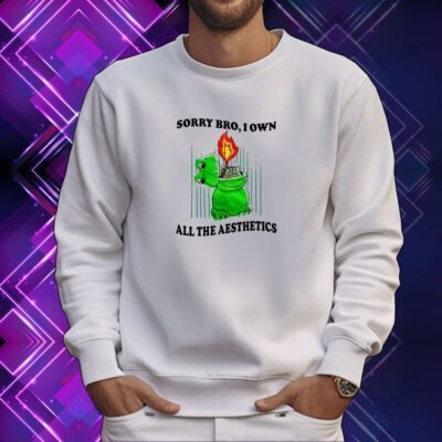 Sorry Bro I Own All The Aesthetics SweatShirt