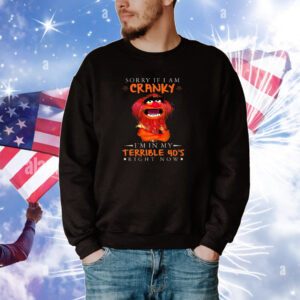 Sorry If I Am Cranky I’M In My Terrible 40’s Right Now Hoodie T-Shirts