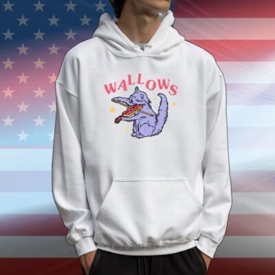 Wallows Cat Fiddle Hoodie Shirt