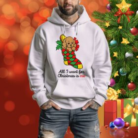 All I Want For Christmas Is Me Hoodie Shirt