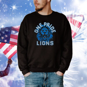 Detroit Lions One Pride Tee Shirts