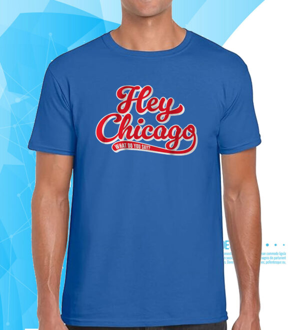 Hey Chicago What Do You Say? Hoodie Shirt