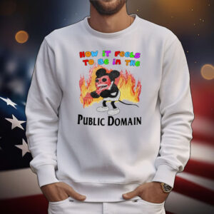 Jmcgg How It Feels To Be In The Public Domain Tee Shirts