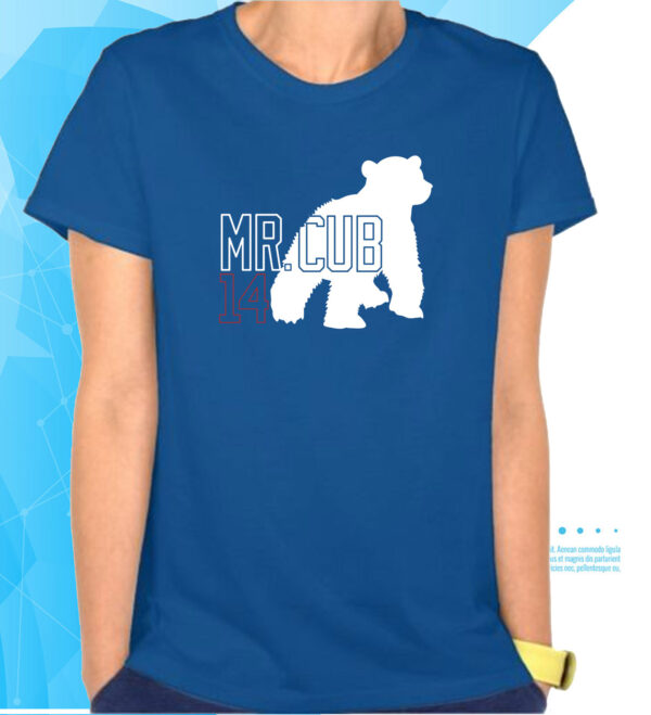 Mr. Cub Absolute Legend 14 T-Shirts