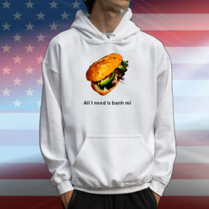 All I Need Is Banh Mi T-Shirts