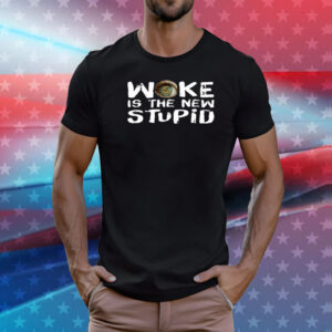 Anticommie Woke Is The New Stupid Tee Shirts