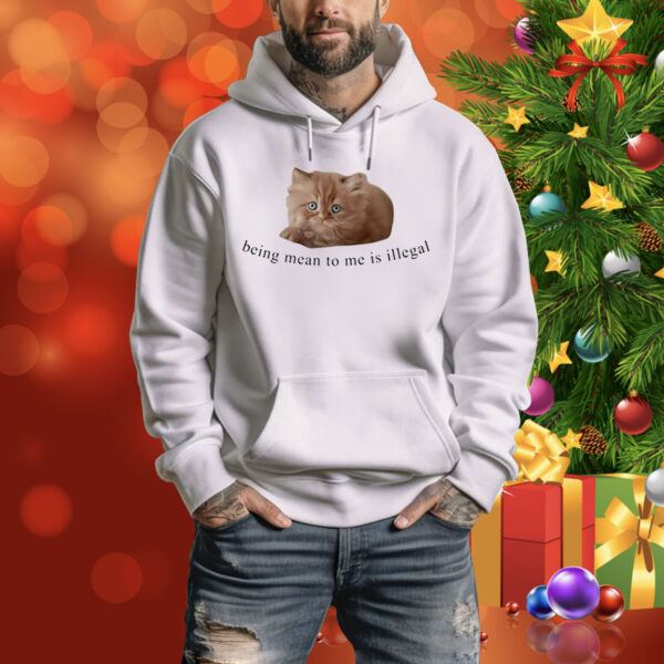 Cat Being Mean To Me Is Illegal Hoodie Shirt