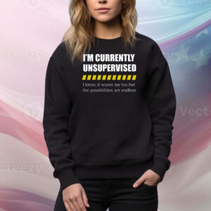 I'm Currently Unsupervised I Know It Scares Me Too But The Possibilities Are Endless Hoodie TShirts