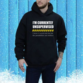 I'm Currently Unsupervised I Know It Scares Me Too But The Possibilities Are Endless Hoodie Shirt