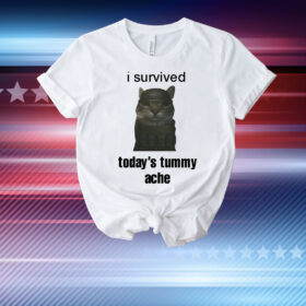 Sillyteestudio I Survived Today's Tummy Ache T-Shirt