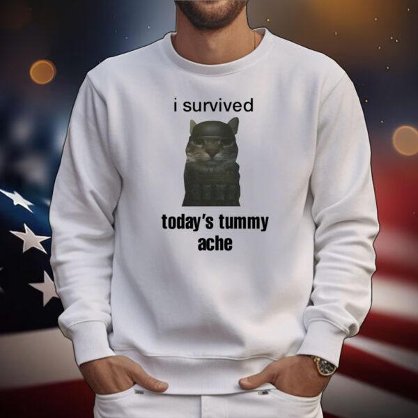 Sillyteestudio I Survived Today's Tummy Ache Tee Shirts
