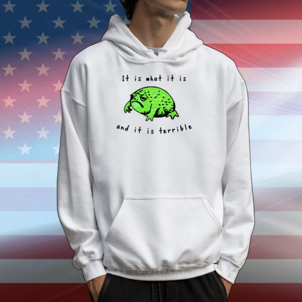 Shithead Steve Frog It Is What It Is And It Is Terrible T-Shirts