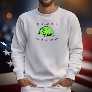 Shithead Steve Frog It Is What It Is And It Is Terrible Tee Shirts