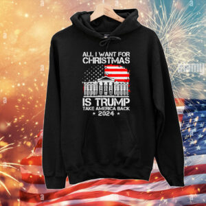 USA Flag All I Want For Christmas Is Trump Take America Back 2024 T-Shirts