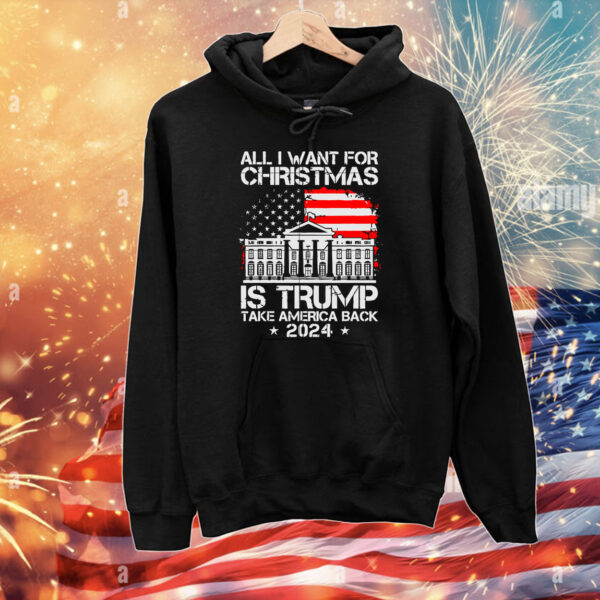 USA Flag All I Want For Christmas Is Trump Take America Back 2024 T-Shirts