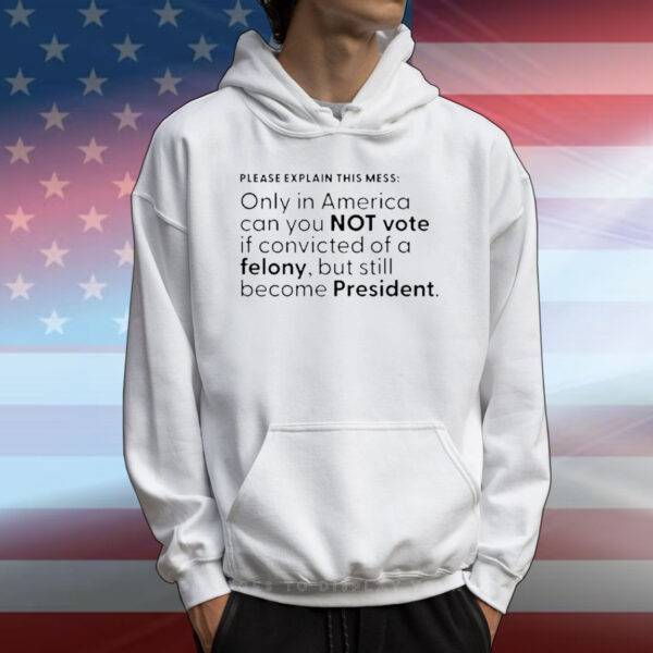 Official Please Explain This Mess Only In America Can You Not Vote If Convicted Of A Felony T-Shirt