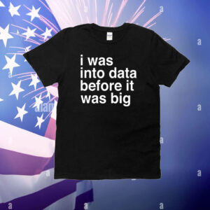 I Was Into Data Before It Was Big T-Shirts