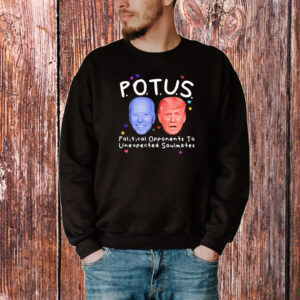 Gotfunny Potus Political Opponents To Unexpected Soulmates T-Shirt