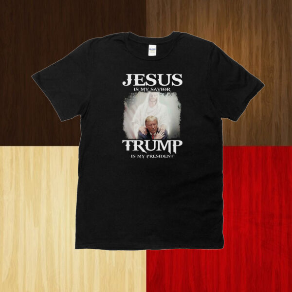 I Stand With Trump Shirt, Fight Donald Trump Shirt, Trump Assassination T-Shirt