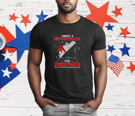 I Want A Hippopotenuse For Christmath Math Teacher Christmas T-Shirt