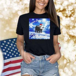 Moo Deng I want a hippopotamus for Christmas 2024 Shirt