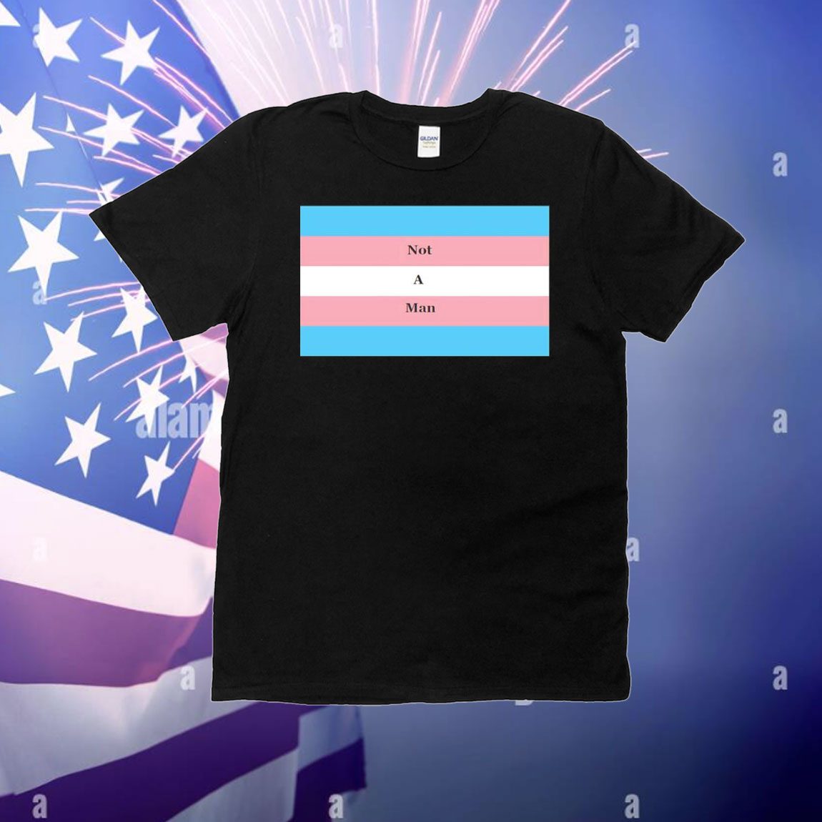 Not a man pride flag T-Shirt