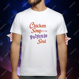 Chicken Soup For The Polycule Soul T-Shirt