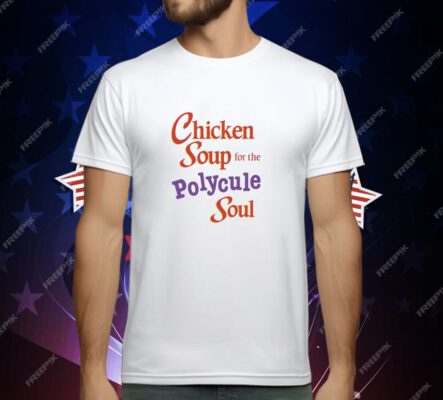 Chicken Soup For The Polycule Soul T-Shirt