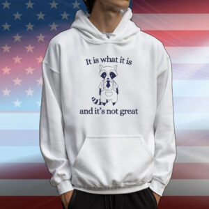 Official It Is What It Is And Its Not Great T-Shirt