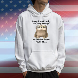 Sloth Sorry I Am Cranky I’m Going Through My Terrible Sixties Right Now T-Shirt