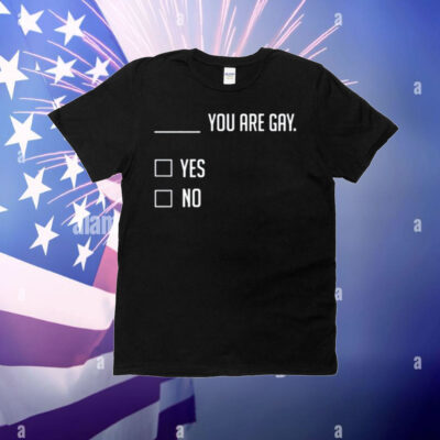 You Are Gay Yes No T-Shirt