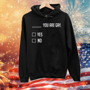 You Are Gay Yes No T-Shirt