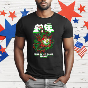 Boston Celtics NBA Hyperfly Year Of The Snake Lunar New Year T-Shirt