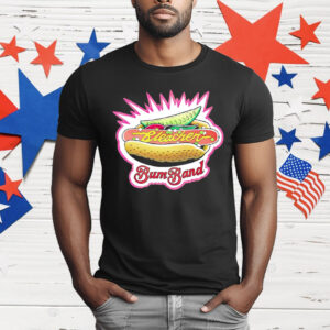 Chicago Bleacher Bum Band T-Shirt