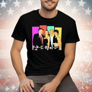 Donald Trump And Epstein Friends Parody T-Shirt