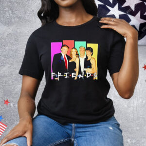 Donald Trump And Epstein Friends Parody T-Shirt