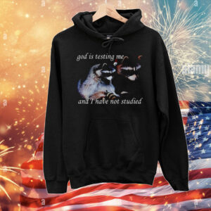 God is testing me and i have not studied snazzy seagull T-Shirt