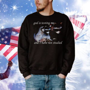 God is testing me and i have not studied snazzy seagull T-Shirt