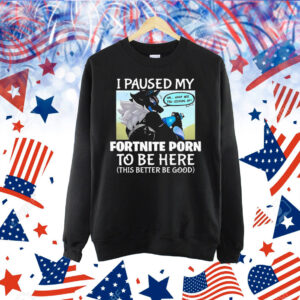 I Paused My Fortnite Porn To Be Here This Better Be Good Shirt