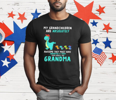 Dragon My Grandchildren Are Absolutely Awesome They Must Have Inherited It From Their Groovy Old Grandma T-Shirt