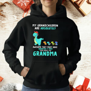Dragon My Grandchildren Are Absolutely Awesome They Must Have Inherited It From Their Groovy Old Grandma T-Shirt